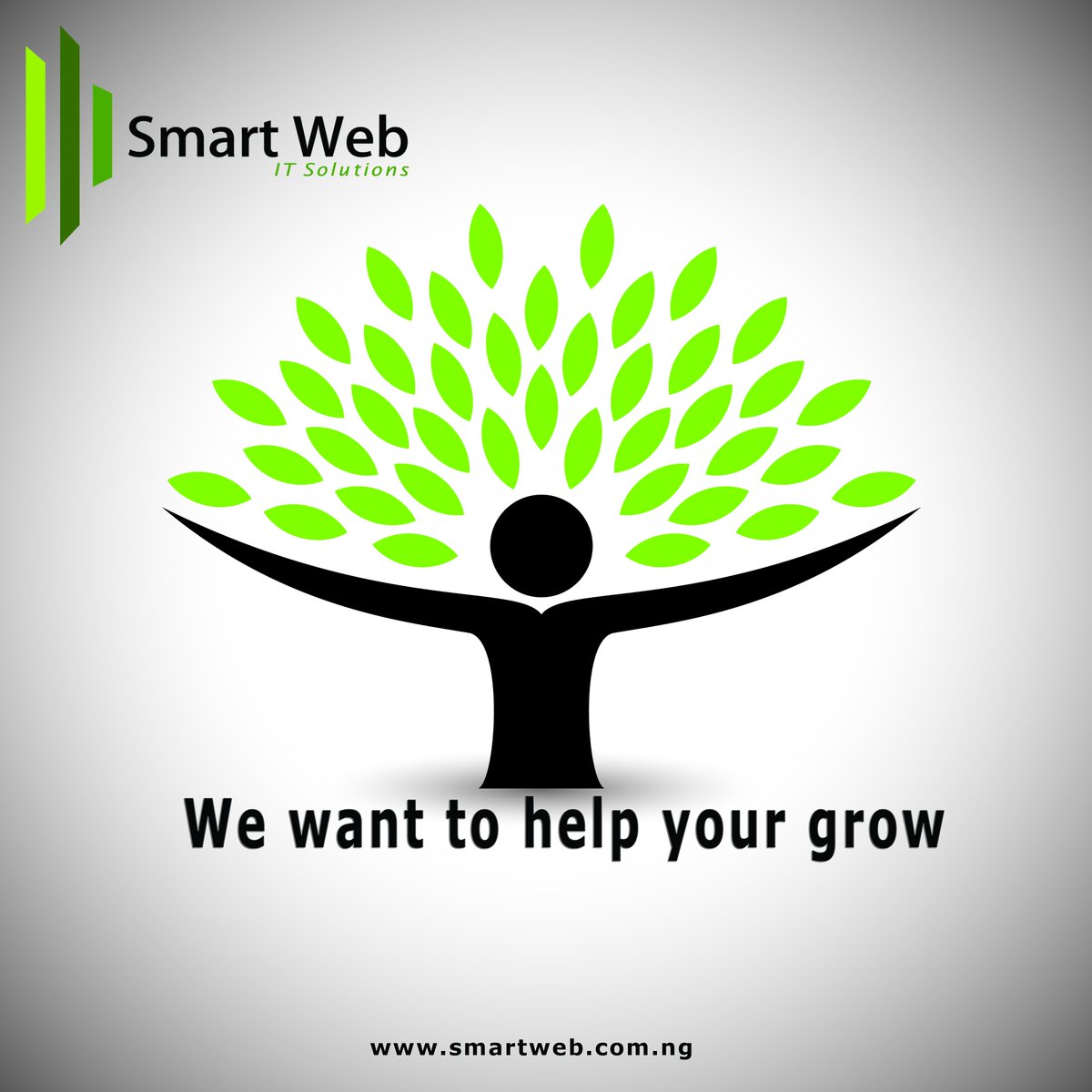 Smart Web Nigeria
