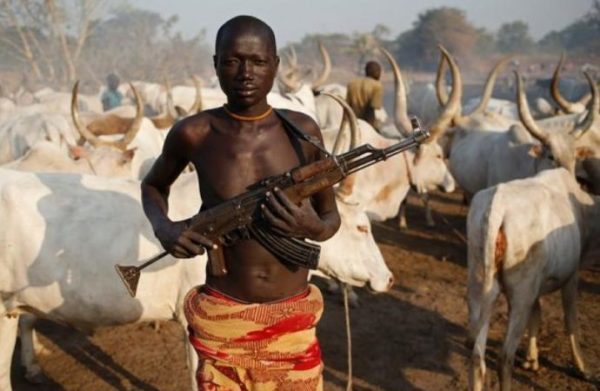 Another 7 killed by Herdsmen in Benue Church