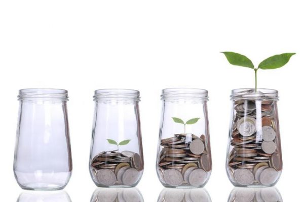 Here Are 5 Ways to Invest Your Income - Biodun Da-Silva