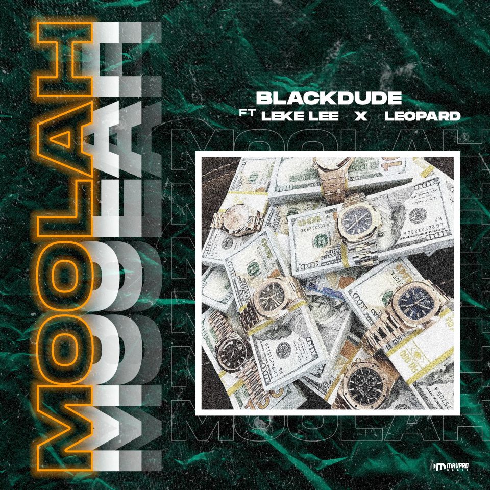 24Naija Music: Blackdude feat. Leke Lee & Leopard – Moolah