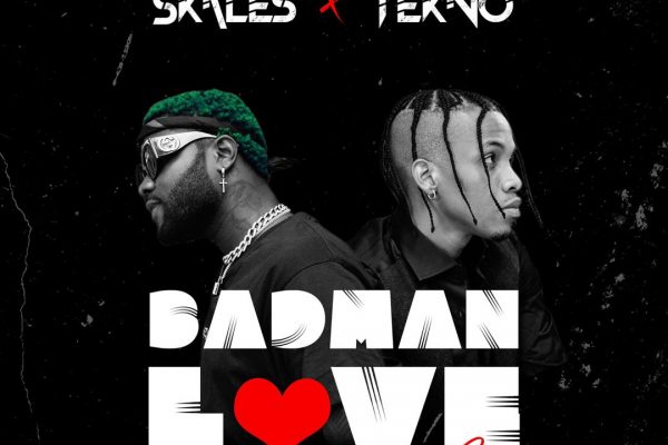 Music: Skales feat. Tekno – Badman Love (Remix)