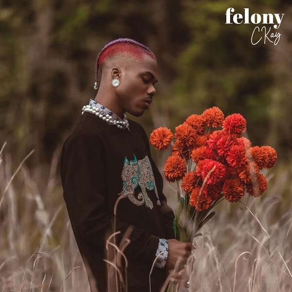 24Naija Music: CKay – Felony