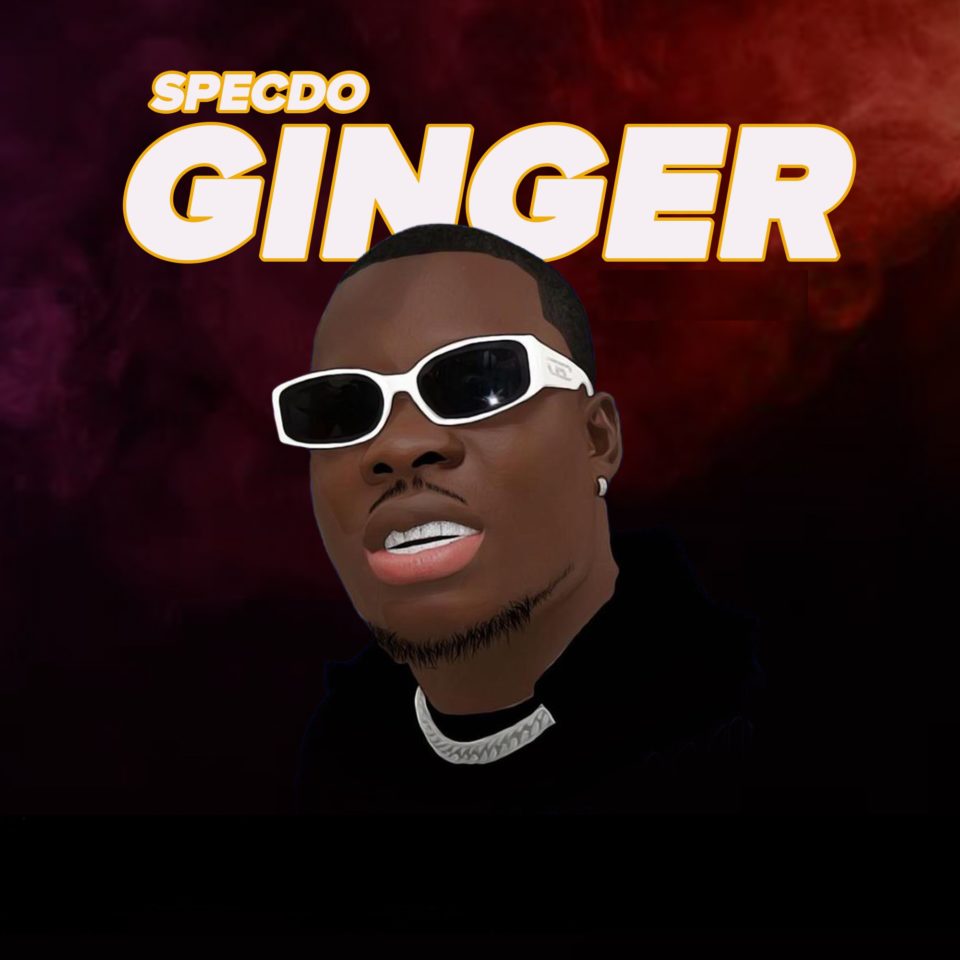 24Naija Music: Specdo – Ginger