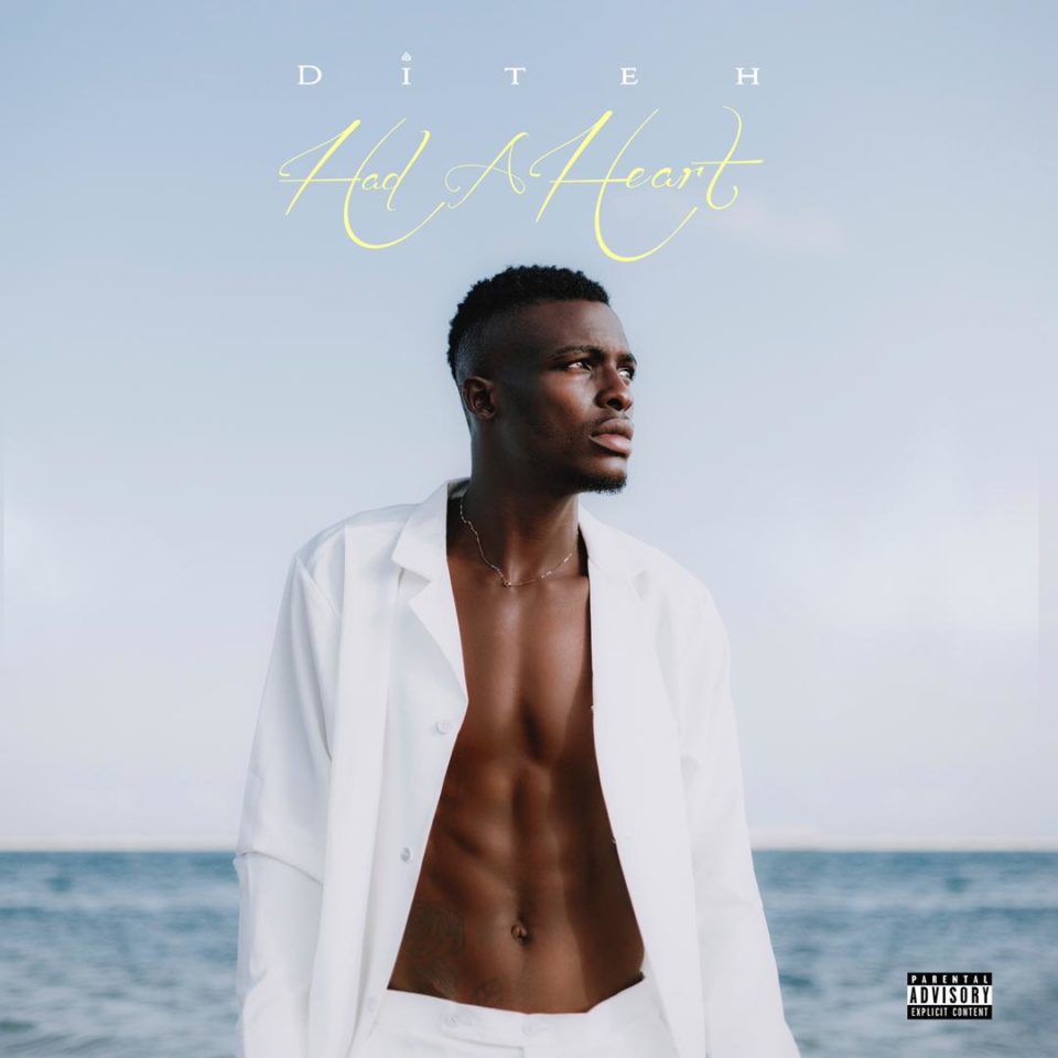 24Naija Music: Diteh – Had A Heart