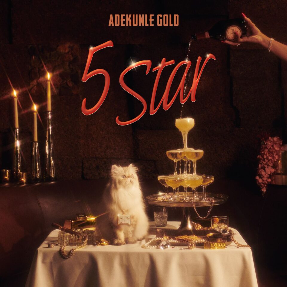 24Naija Music: Adekunle Gold – 5 Star