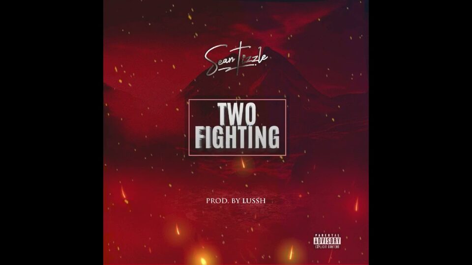 24Naija Music: Sean Tizzle – Two Fighting